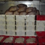 Kisten met gekookte hollandse garnalen in het ruim van de ST21 (2003)